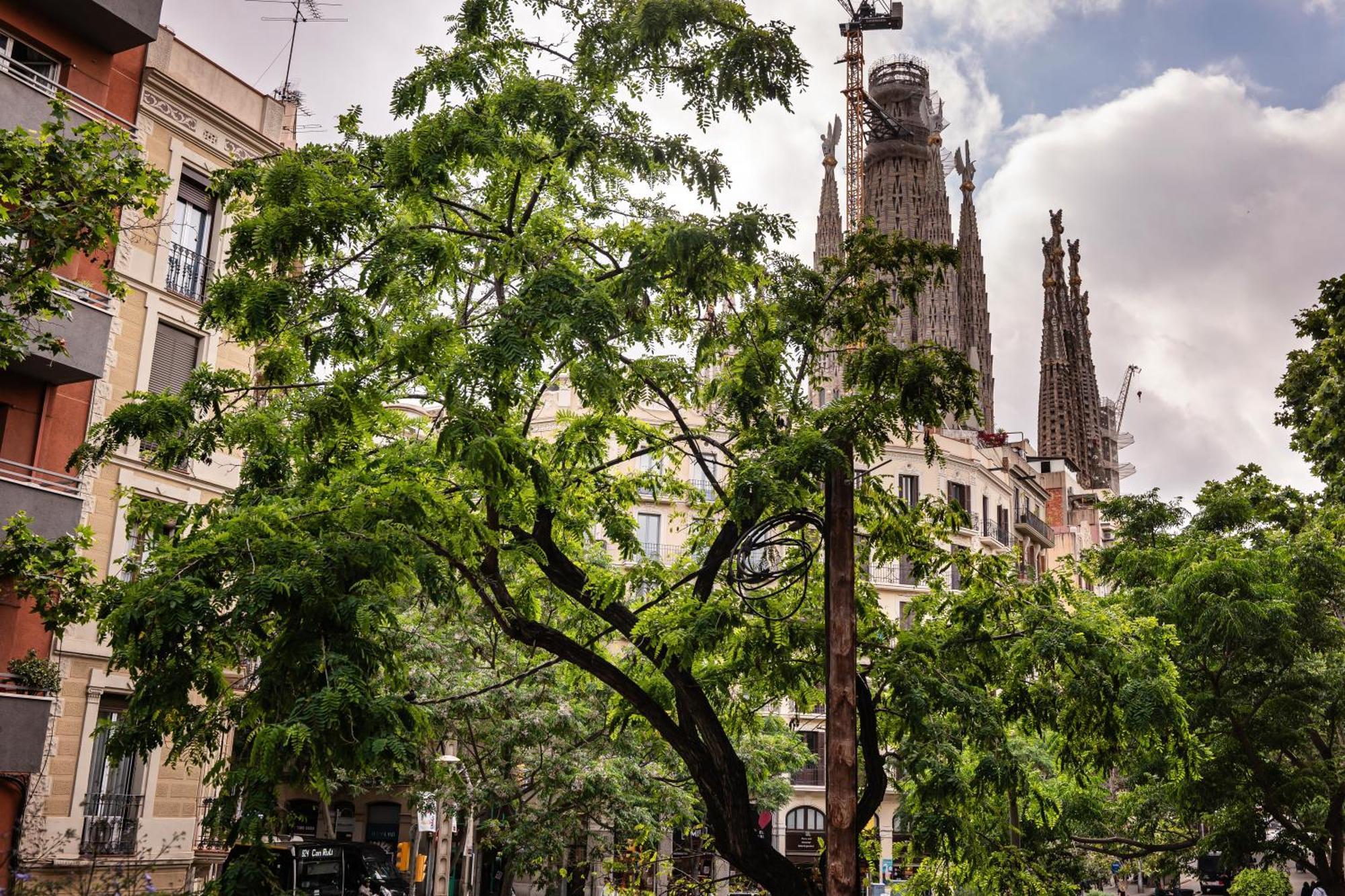 Sweett - Rosemarine Apartment Barcelona Luaran gambar